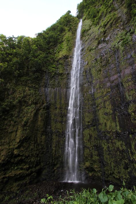 Pipiwai Trail & Waimoku Falls | Maui Guidebook Maui Hawaii Vacation, Waterfall Hike, Hawaiian Travel, Trip To Hawaii, Haleakala National Park, Hawaii Aloha, Maui Vacation, Hawaii Honeymoon, Eat Pray