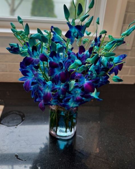 When it’s your birthday and your hubby surprises you with flowers that take your breath away! All my favorite colors in one bouquet…teal, electric blue, purple, cyan, green…oh the joy this brings! 💙🩵💜💚 It inspires a deep sense of awe and appreciation in me. I am profoundly grateful! This is my moment of awe and I’m sharing it with you. What is your moment of awe today? ——————— #flowers #orchids #orchidlovers #awe #caribbeancolors #birthday #soulcoach #inthismomoment #magicalsoul Teal And Purple Bouquet, Flowers Orchids, Purple Bouquet, Blue Orchids, Blue Purple, Electric Blue, Favorite Color, Orchids, Sense