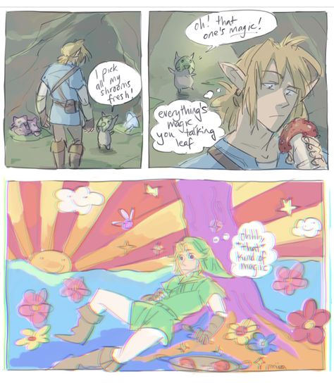 Link And Zelda, Botw Zelda, Legend Of Zelda Memes, Zelda Funny, Video Game Memes, Link Zelda, Gamer Humor, Zelda Art, Legend Of Zelda Breath