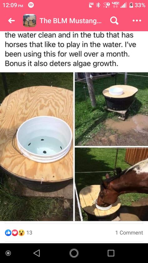 Horse Water Trough, Horse Feeder, Diy Garage Cabinets, Horse Paddock, Horse Farm Ideas, Barn Hacks, Diy Horse Barn, Horse Barn Ideas Stables, Horse Water