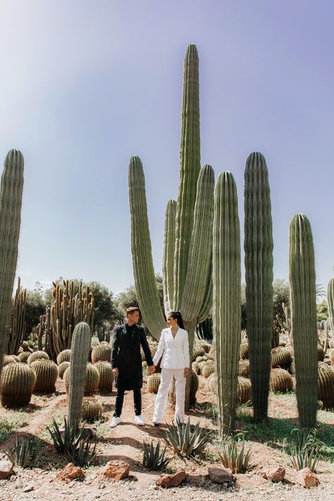 hair and makeup for elopement couple in Marrakech taking wedding photos in a cactus garden Cactus Backdrop, Cactus Fashion Editorial, Marrakesh Fashion Editorial, Cactus Editorial, Joshua Tree Fashion Shoot, Joshua Tree Editorial Photoshoot, Editorial Photoshoot, Wes Anderson, Cactus Garden