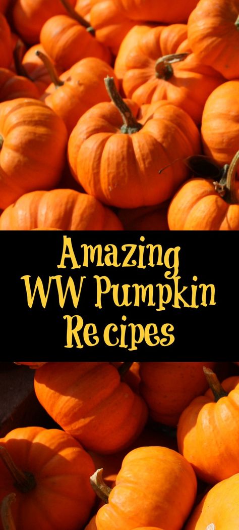 These WW Pumpkin Recipes are perfect to make for fall and a great way to stay on track with Weight Watchers.  Pumpkin drinks, breakfast, dessert, and meals. #ww #smartpoints #pumpkin Weight Watchers Pumpkin Muffins, Low Points Weight Watchers, Drinks Breakfast, Healthy Pumpkin Dessert, Weight Watchers Pumpkin, Pumpkin Fluff, Pumpkin Chili Recipe, Everything Pumpkin, Pumpkin Doughnut