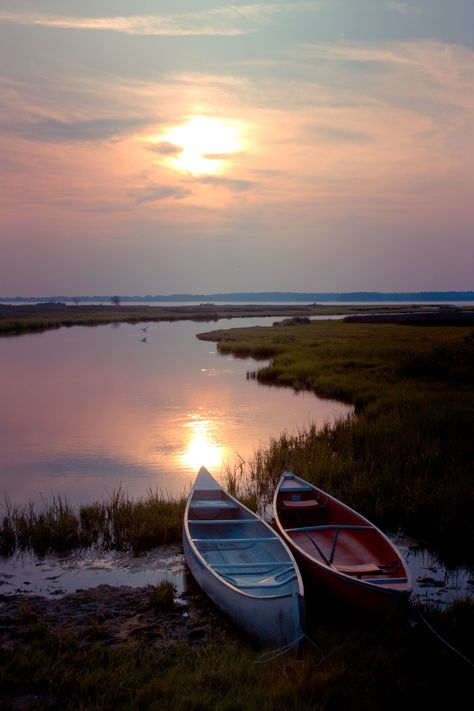 Fly-by | I loved this scene so much that I took about 20+ di… | Flickr Chesapeake Bay Photography, Maryland Scenery, Wild Horses Running, Assateague Island, Chincoteague Island, Dome Bag, Ocean City Maryland, Food Diy, Canoes