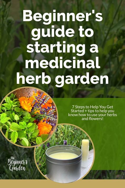 Backyard Raised Beds, Medicinal Herb Garden, Medicine Garden, Medicinal Herbs Garden, Medicinal Garden, Medical Herbs, Healing Garden, Medicinal Herb, Herb Gardening