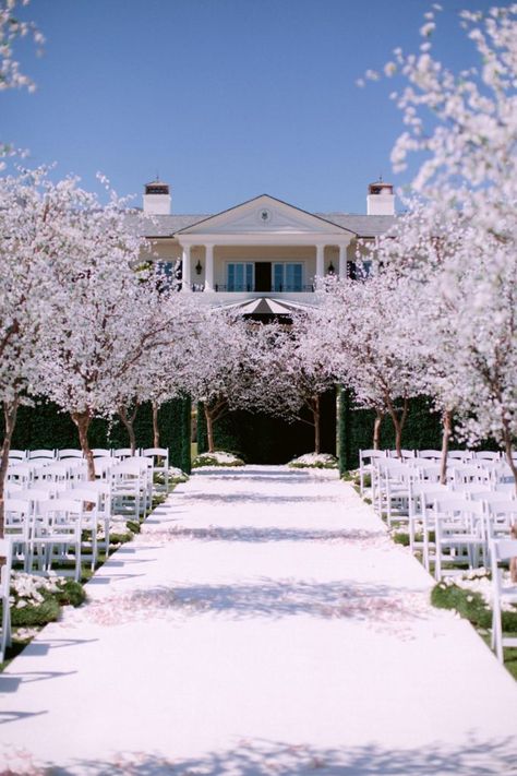 Nats and Gigi Wedding - Mindy Weiss San Ysidro Ranch Wedding, Gigi Gorgeous, Wedding Ceremony Setup, Mindy Weiss, San Ysidro Ranch, Clear Tent, Brooklyn Wedding, Floral Arch, Grand Entrance