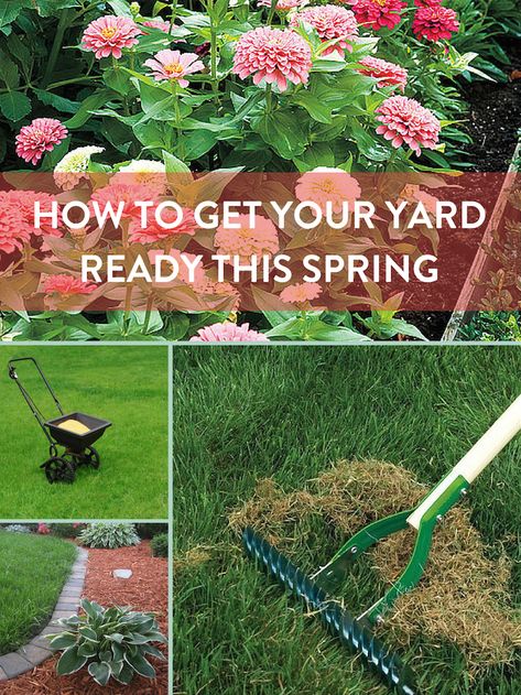 Spring Cleaning Yard, Overseeding Lawn, Spring Lawn Care, Landscaping On A Budget, Irish Spring, Yard Maintenance, Lawn Care Tips, Spring Outdoor, Yard Care