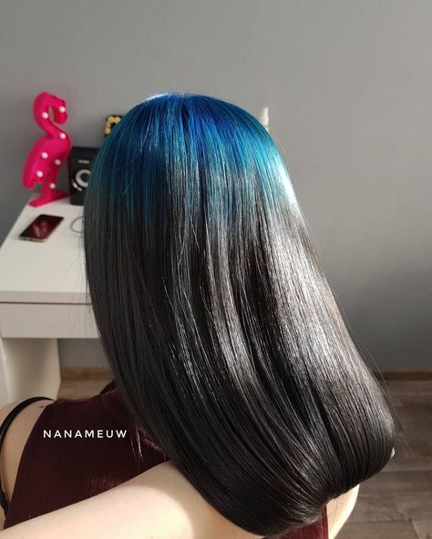 We are obsessed with the colored root trend right now! Would you try it? Stunning blue root to black by @nanameuw #lunartides #hairdye #billieeilish Blue Roots With Black Hair, Colored Roots Dark Hair, Colorful Roots Dark Hair, Coloured Roots On Black Hair, Blue To Black Hair, Blue Roots Hair, Black Hair With Blue Roots, Root Dyed Hair, Roots Dyed Hair