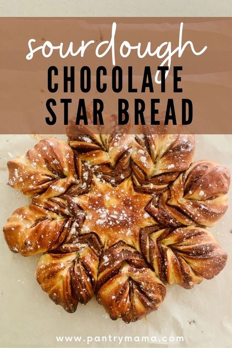 Chocolate Star Bread, Nutella Star Bread, Sourdough Brioche, Brioche Dough, Recipe Using Sourdough Starter, Star Bread, Chocolate Stars, Sourdough Starter Discard Recipe, Homemade Sourdough Bread