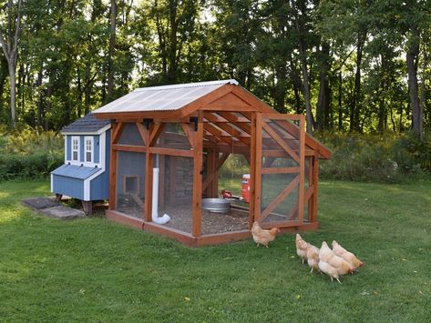 8 X 10 Chicken Run Plans | Etsy Chicken Run With Chicken Wire, Covered Chicken Run Ideas, Decorating Chicken Coop, Covered Chicken Run, Outdoor Chicken Run, Coop And Garden Layout, Chicken Coop Roof, Coop Plans Free, Chicken Run Plans