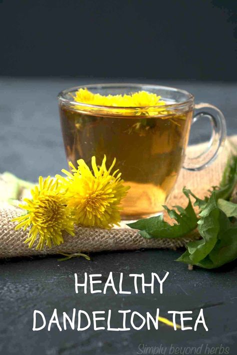 Learn how to make dandelion tea with the season and its benefits. You can make this caffeine-free herbal infusion from the dandelion's flowers, leaves, or roots. Dandelion Tea Recipe, Dandelion Benefits, Dandelion Root Tea, Dandelion Flowers, Dandelion Tea, Dandelion Jelly, Homemade Tea, Seasonal Living, Spring Tea