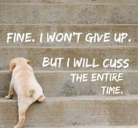 fine. I won't give up, but I will cuss the entire time. Ge Aldrig Upp, I Wont Give Up, Inspirerende Ord, Humor Memes, Bones Funny, Great Quotes, Wise Words, Favorite Quotes, A Dog