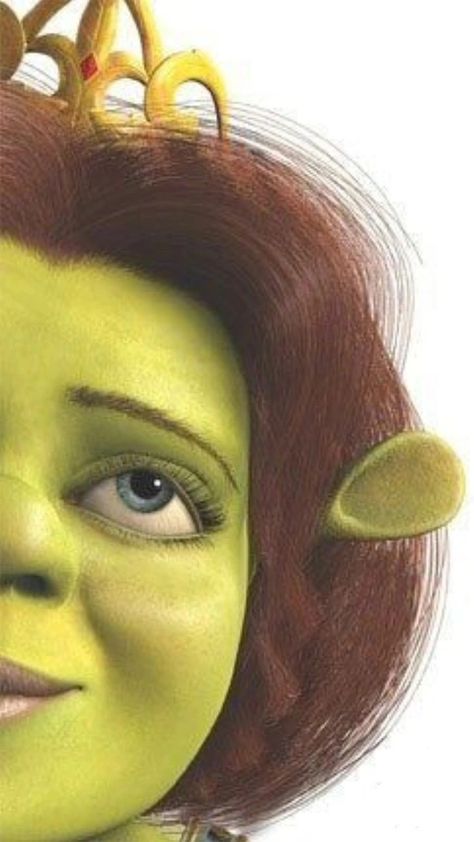 Princess Fiona Wallpaper, Shrek Character, Pixar Poster, Fiona Shrek, Mike Myers, Animated Movie Posters, Poster Images, Troll Costume, Pink Canvas Art