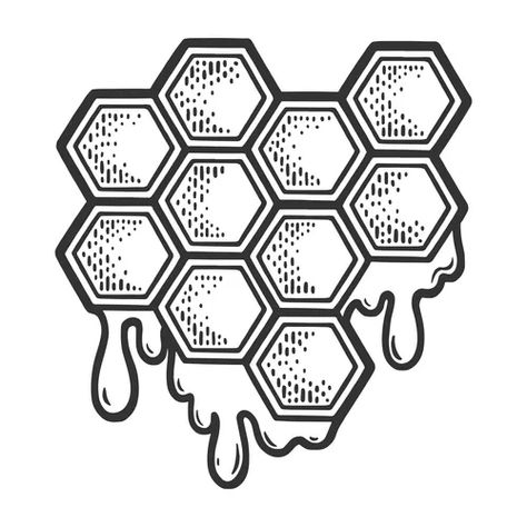 Bee and honeycombs engraving style Royalty Free Vector Image Honeycomb Sketch, Honeycomb Outline, Honeycomb Drawing, Honeycombs Drawings, Bee Vector, Honeycomb Tattoo, Honey Bee Theme, Eyeball Tattoo, Tattoo Sleeve Filler