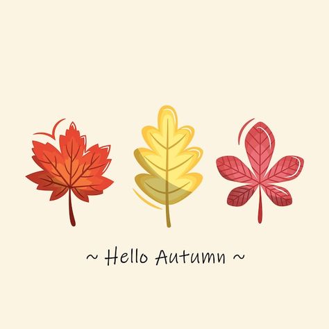 Vector autumn leaves illustration vector | Premium Vector #Freepik #vector #fall-season #fall #november #autumn