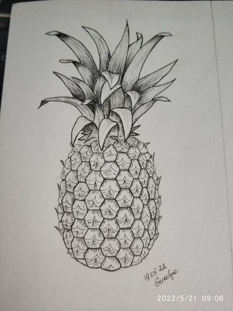 Pineapple Drawing Realistic, Pinapple Drawings Pencil, How To Draw A Pineapple, Pineapple Drawings, Draw Pineapple, Fruit Sketches, Camera Drawing Art, Pineapple Sketch, Drawing Pineapple