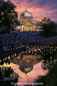 Como Park Zoo in St. Paul, MN Japanese Lantern Festival, Obon Festival, Lighting Festival, Lantern Lighting, Garden Dinner, Japanese Lantern, St Paul Minnesota, Lantern Festival, Awesome Places