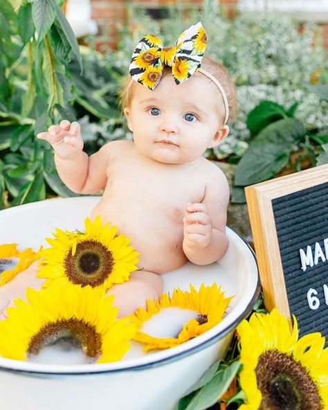 Baby Sunflower Photoshoot, Sunflower Milk Bath, Washtub Ideas, Sunflower Milk, Tub Pictures, Summer Baby Photos, Baby Sunflower, Baby Milk Bath, Outdoor Baby Photography