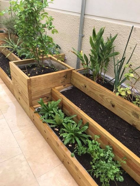 Pallet Projects Garden, Veg Garden, Home Vegetable Garden, Outdoor Gardens Design, Garden Yard Ideas, Vegetable Garden Design, Garden Designs, Small Garden Design, Front Yard Landscaping Design