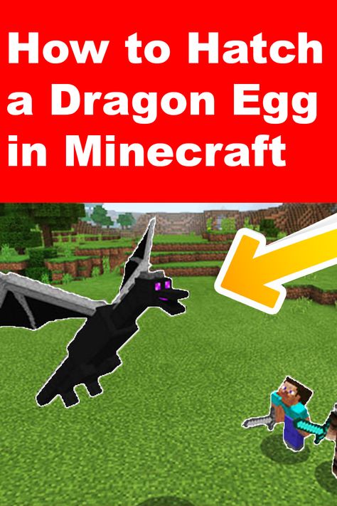 Minecraft Dragon, Minecraft Games, Dragon Egg, Minecraft 1, Game Lovers, A Dragon, Easter Eggs, Minecraft, Step By Step