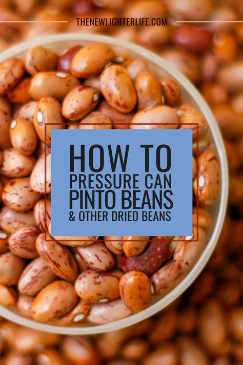 Discover the ultimate Easy Guide to Canning Pinto Beans and other Dried Beans! 🌱🍲 Elevate your pantry game with step-by-step instructions, tips, and tricks for preserving these nutritious legumes. Whether you're a canning pro or a beginner, this post has everything you need to stock your shelves with delicious, ready-to-use beans. Say goodbye to store-bought cans and hello to homemade goodness! 🥫✨ #Canning #PintoBeans #DIY #Homesteading #FoodPreservation Canning Pinto Beans, Pinto Beans From Scratch, Pressure Cooker Beans, Canning Beans, Dry Beans Recipe, Canned Salsa Recipes, Storing Food Long Term, Beans From Scratch, Pinto Bean Recipes