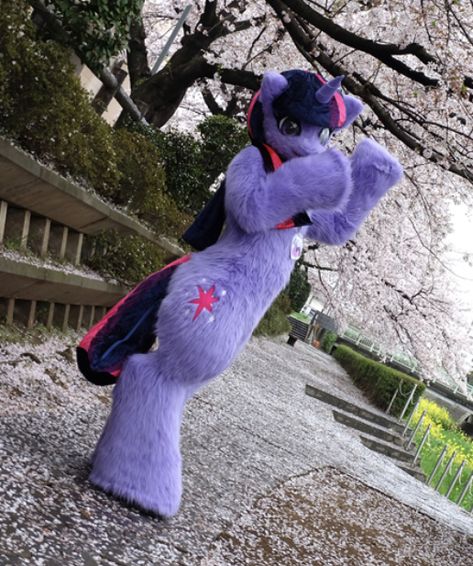 Mlp Fursuit, Horse Fursuit, Twilight Sparkle Cosplay, Fursuit Inspiration, Pony Costume, Cosplay Masks, My Little Pony Costume, Fur Suit, Suit Ideas