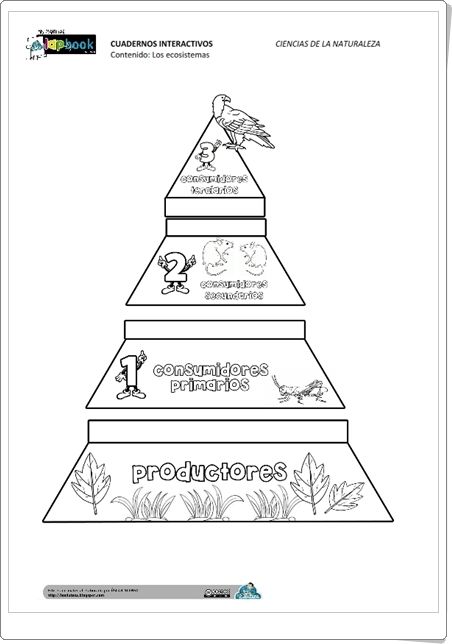 "Los ecosistemas" (Fichas recortables de Ciencias Naturales de Primaria) Creation Preschool Craft, Primary School Activities, Ecosystems Projects, Forest School Activities, Kid Science, Education Poster Design, Secondary Science, Science Notebook, Interactive Science