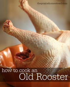 how to cook a tough old rooster or laying hen and turn it into flavorful soups and stock! Homestead Hacks, The Prairie Homestead, Prairie Homestead, Laying Hens, Cooked Chicken, Chicken Soup Recipes, Whole Chicken, Raising Chickens, Chickens Backyard