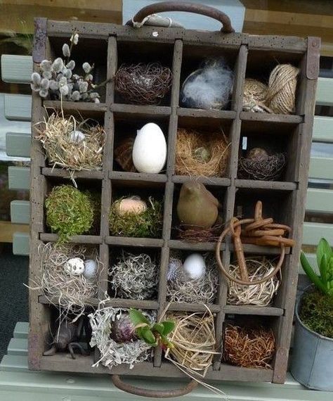 common ground : Spring Inspiration with Mossy, Woodsy Things Spring Baskets, Rustic Easter, Spring Brunch, Diy Ostern, Spring Easter Decor, Planting Bulbs, Spring Inspiration, Bird Nest, Shadow Boxes