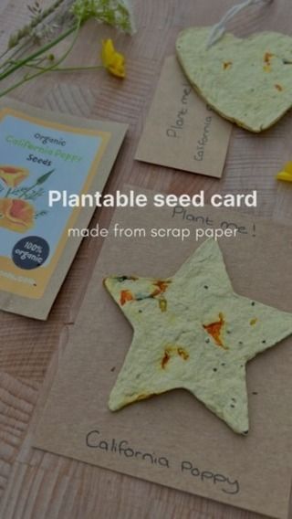 Plantable Cards, Seed Cards, Plantable Paper, California Poppy, Organic Seeds, Nature Activities, Scrap Paper, Flower Seeds, Flower Petals