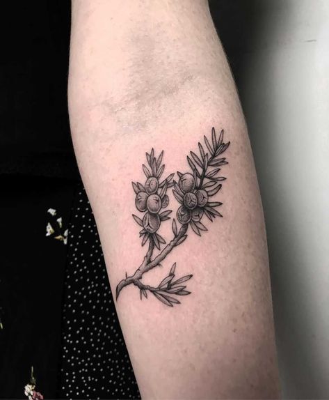 Juniper Tree Tattoo, Juniper Tattoo, Juniper Branch, Henna Ink, Tree Tattoo Men, Juniper Tree, Branch Tattoo, Beautiful Flower Tattoos, Religious Tattoos