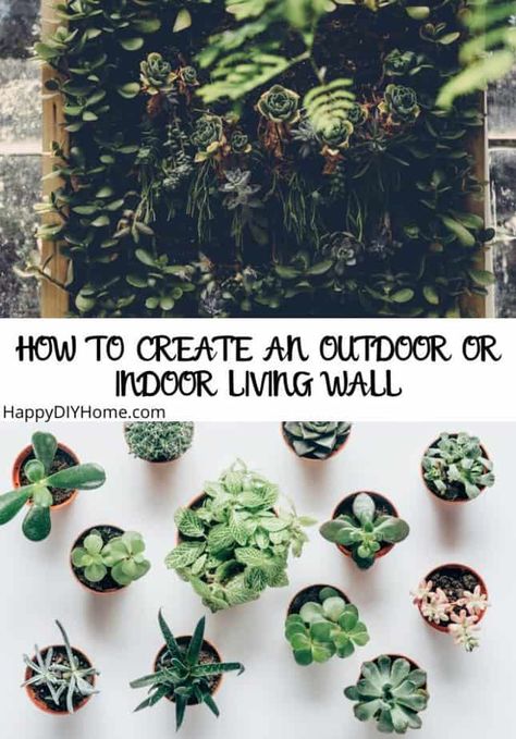 How to Create an Outdoor or Indoor Living Wall | Happy DIY Home Succulent Wall Diy, Diy Living Wall, Indoor Living Wall, Wall Garden Indoor, Living Wall Diy, Biodynamic Gardening, Living Wall Garden, Living Wall Indoor, Gardens Of Babylon