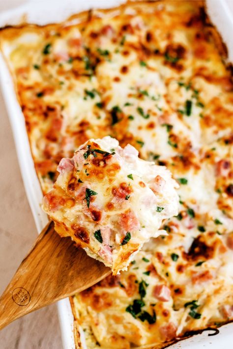 Chicken Cordon Bleu Lasagna Recipe Chicken Cordon Blue Lasagna, Cordon Bleu Lasagna, Chicken Cordon Bleu Lasagna, Chicken Cordon Bleu Casserole Recipe, 6 Sisters, Chicken Cordon Bleu Pasta, Chicken Lasagna Recipe, Chicken Cordon Bleu Recipe, Cordon Blue