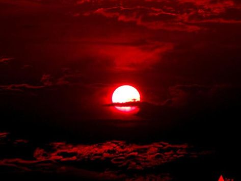 Blood Red Aesthetic, Red Moon Aesthetic, Work Song, Blood C, Red Aesthetic Grunge, Moon Time, I See Red, Red Sunset, Red Blood