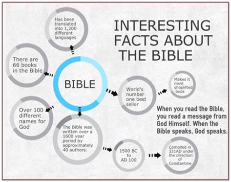 Bible Facts Bible Study For Kids, Jesus Stories, Bible Facts, Bible Knowledge, Bible Truth, Books Of The Bible, Bible Lessons, Spiritual Inspiration, Interesting Facts