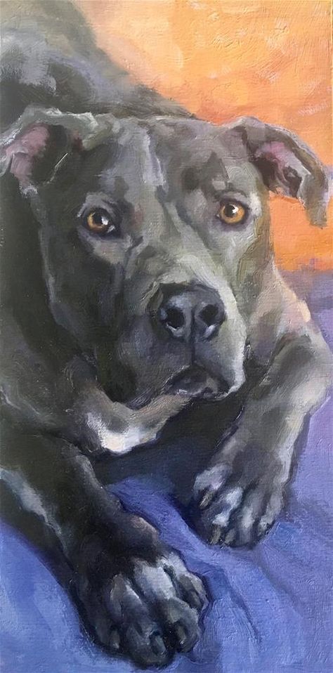 Pit Bull Drawing, Katya Minkina, Pitbull Drawing, Staffy Dog, Bull Painting, Dog Portraits Art, Pitbull Art, Dog Artwork, American Bully