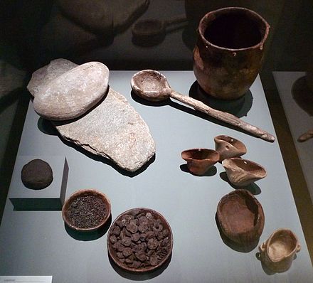 Food and cooking items retrieved at a European Neolithic site: millstones, charred bread, grains and small apples, a clay cooking pot, and containers made of antlers and wood What Is Intelligence, Neolithic Revolution, Clay Cooking Pot, Paleolithic Period, High Middle Ages, Early Middle Ages, Iron Age, Stone Age, Old Stone