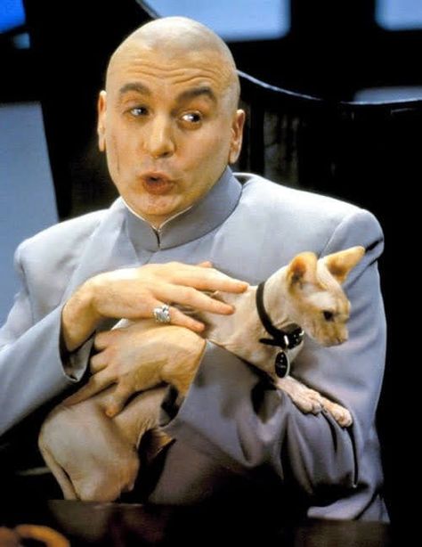 Austin Powers Funny, Austin Powers Dr Evil, Mr Bigglesworth, Austin Powers Goldmember, International Man Of Mystery, Dr Evil, Hairless Cats, Evil Cat, National Cat Day