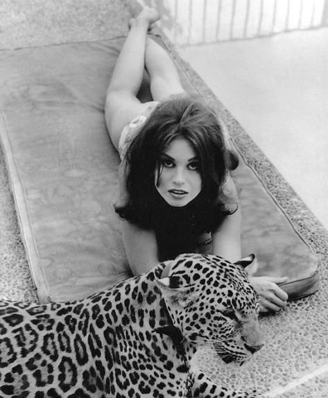 7bb060764a818184ebb1cc0d43d382aa Lana Wood, Bond Babe, Sitting By The Pool, Jean Shrimpton, James Bond Movies, Natalie Wood, Bond Movies, Va Va Voom, Signed Photo