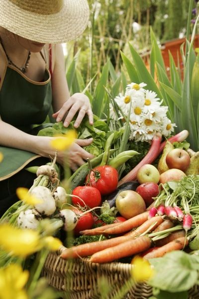 Eating Challenge, Garden Basket, Elephant Journal, Seed Saving, Health Nut, Small Backyard Patio, Small Space Gardening, Garden Care, Small Backyard Design