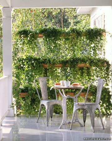 Ivy Porch Screen    This lush warm-season screen is created with ivy and lengths of chain between pairs of copper K-style gutters, which have flat backs. Wall Of Plants, Gutter Garden, Copper Gutters, Privacy Plants, Plants Growing, Vertical Gardens, Budget Backyard, Beautiful Backyards, Plant Wall