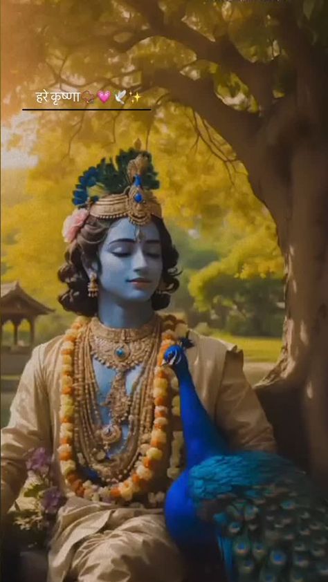 कृष्ण🪷✨ = @gracceeeee._ Krishna Avatar, Ram Ji, Shri Ram Photo, Lord Krishna Hd Wallpaper, Ram Photos, Vedic Art, Goddess Artwork, Lord Krishna Wallpapers, Krishna Radha Painting