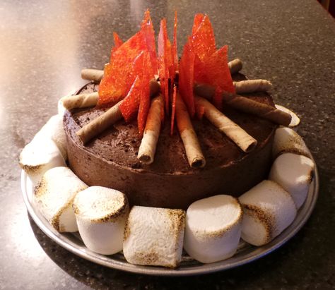 Easy campfire cake. I used a double layer chocolate cake, Red, Orange, and white lifesavers melted on a baking sheet then broken for the flames. Extra-large marshmallows toasted on the end and pirouette cookies for logs. Cub Scout Cake, Campfire Cake, Cake Diy, Cub Scout, Cake Cake, Creative Cakes, Cute Cakes, Let Them Eat Cake, Cake Cookies