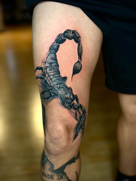 Scorpion tattoo Scorpion Tattoo, 3d Tattoos, 3d Tattoo, Leg Tattoo, Orange Is The New, Simplistic Tattoos, Leg Tattoos, Optical Illusions, Tattoo Art