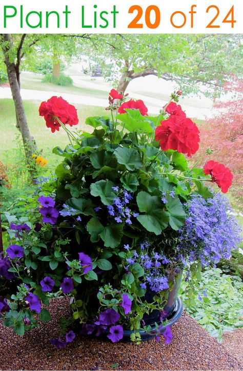 Mixed Flower Pots, Front Porch Flowers, Garden Purple, Purple Petunias, Tanaman Pot, Porch Flowers, Flower Pot Design, Container Gardening Flowers, Outdoor Flowers