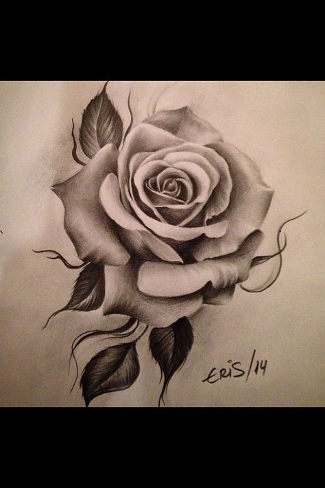 Eris Qesari Realistic Rose Tattoo, Rose Drawing Tattoo, Rose Hand Tattoo, Drawing Hands, Realistic Rose, Skeleton Hand Tattoo, Geniale Tattoos, Rose Tattoo Design, Rose Drawing