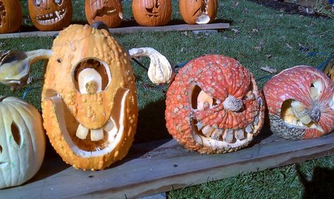 I bought a bumpy pumpkin, i'm excited! =Ugly bumpy pumpkins - carve, add a few well placed gourds. Lumpy Pumpkin Carving, Ugly Pumpkin Carving, Bumpy Pumpkin Carving Ideas, Bumpy Pumpkins, Bumpy Pumpkin, Carving Templates, Hocus Pocus Party, Kid Halloween, Pumkin Carving