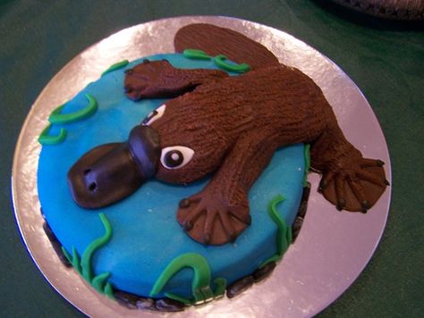 Platypus cake Platypus Cake, Swimming Pool Cake, Cake Magic, Pool Cake, Animal Hand Puppets, Designer Cakes, Beaver Dam, Magic Cake, Hand Puppet