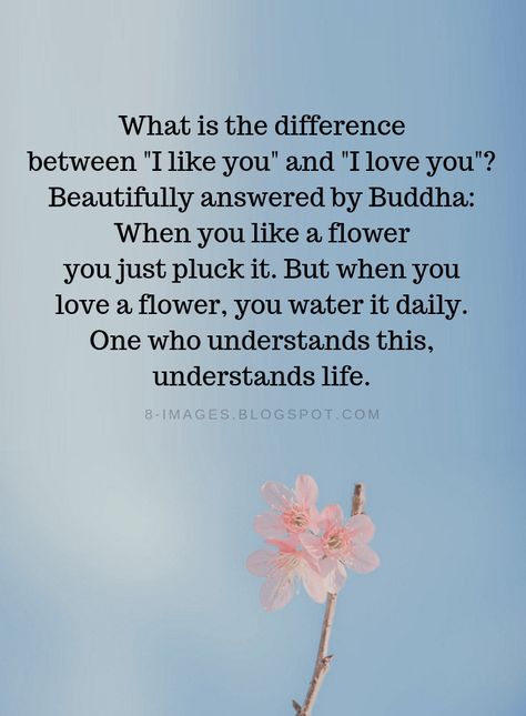 True Love Quotes What is the difference between "I like you" and "I love you"? Beautifully answered by Buddha: When you like a flower you just pluck it. But when you love a flower, you water it daily. One who understands this, understands life. Water Inspirational Quotes, Trust Me Quotes, Thoughts About Life, Routine Quotes, I Like You Quotes, Daily Life Quotes, Happy Quotes Inspirational, And I Love You, Soothing Quotes