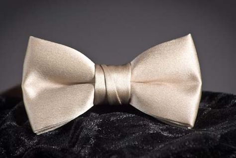 champagne bow tie Champagne Bow Tie, Wedding Bow Tie, Champagne Pink, Bowtie And Suspenders, Bow Tie Wedding, Pink Ties, Wedding Themes, My Wedding, Wedding Attire