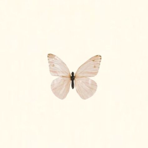 Butterfly Profile Picture Aesthetic, Butterfly Profile Picture, Png Widget, Ios16 Aesthetic, Butterfly Profile, Neutral Butterfly, Profile Picture Aesthetic, Soft Brown, Profile Picture